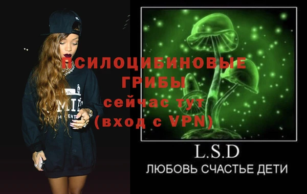 хмурый Дмитровск