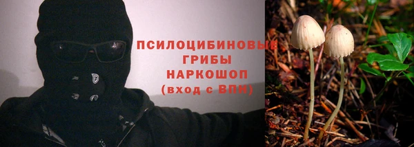 прущие крисы Дмитриев