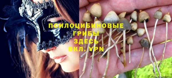 хмурый Дмитровск