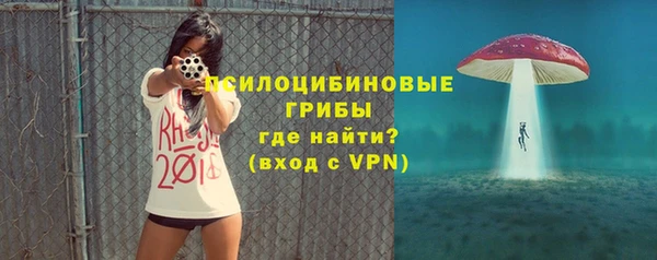 хмурый Дмитровск