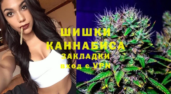 хмурый Дмитровск