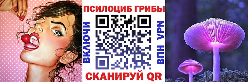 хочу   Змеиногорск  Псилоцибиновые грибы GOLDEN TEACHER 